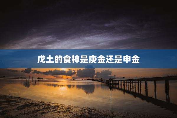 戊土的食神是庚金还是申金