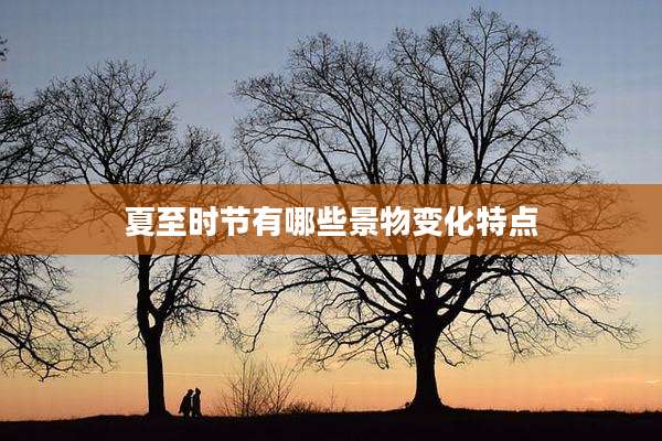 夏至时节有哪些景物变化特点