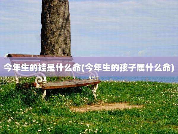 今年生的娃是什么命(今年生的孩子属什么命)