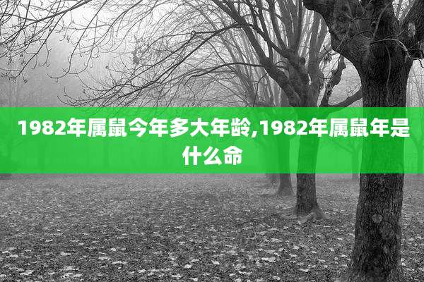 1982年属鼠今年多大年龄,1982年属鼠年是什么命