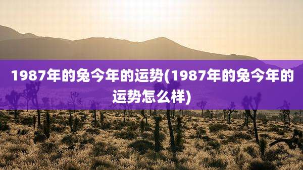 1987年的兔今年的运势(1987年的兔今年的运势怎么样)