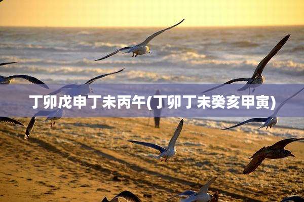 丁卯戊申丁未丙午(丁卯丁未癸亥甲寅)