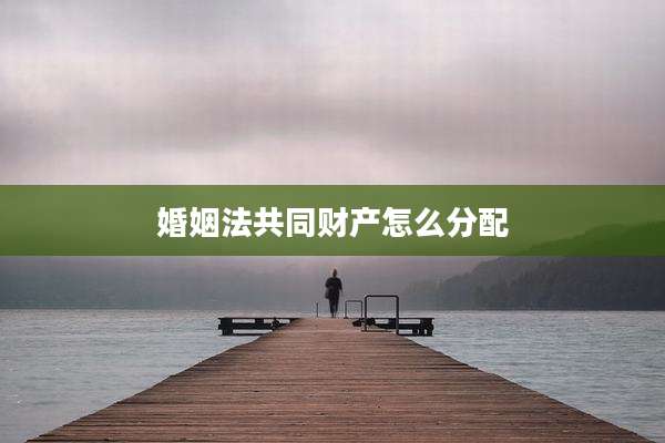 婚姻法共同财产怎么分配