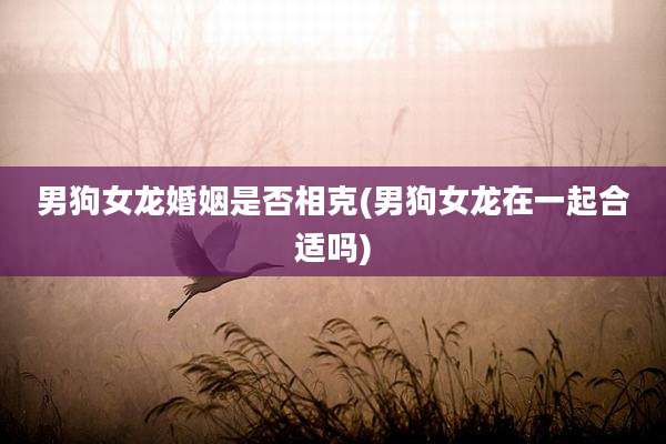 男狗女龙婚姻是否相克(男狗女龙在一起合适吗)