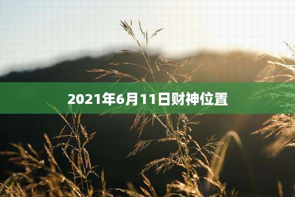 2021年6月11日财神位置