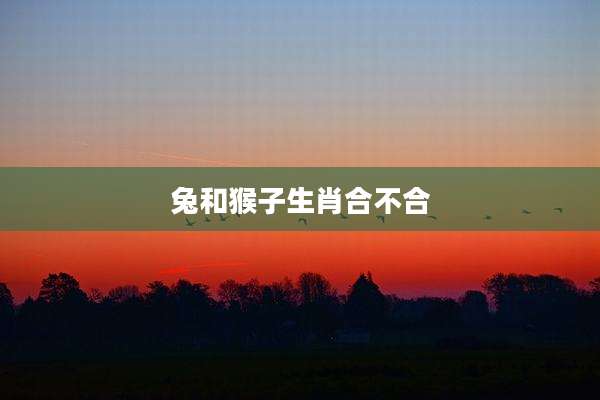 兔和猴子生肖合不合