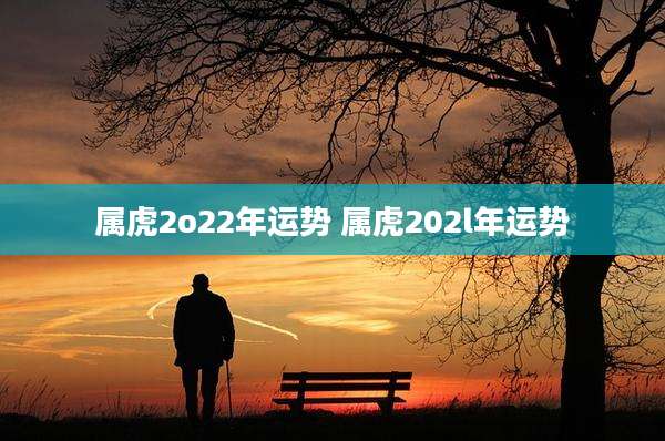 属虎2o22年运势 属虎202l年运势