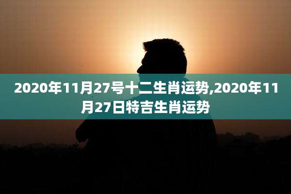 2020年11月27号十二生肖运势,2020年11月27日特吉生肖运势