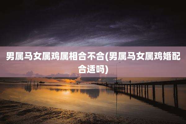 男属马女属鸡属相合不合(男属马女属鸡婚配合适吗)