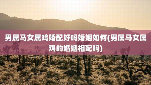 男属马女属鸡婚配好吗婚姻如何(男属马女属鸡的婚姻相配吗)