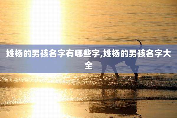 姓杨的男孩名字有哪些字,姓杨的男孩名字大全