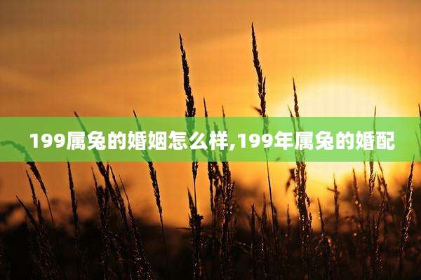 199属兔的婚姻怎么样,199年属兔的婚配