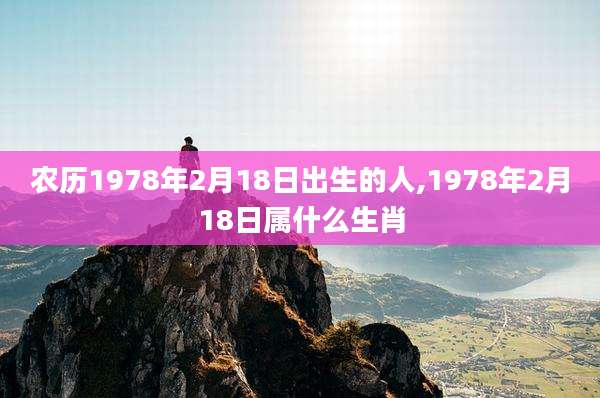 农历1978年2月18日出生的人,1978年2月18日属什么生肖