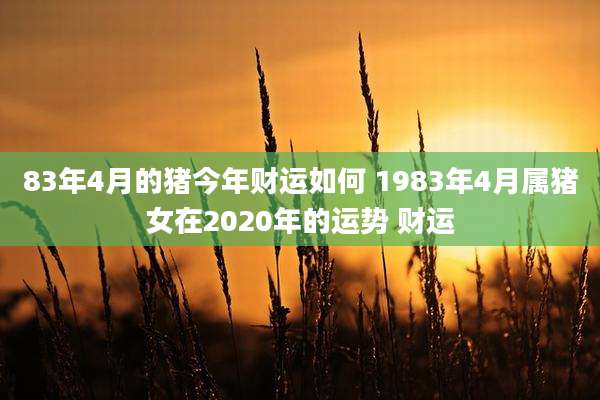 83年4月的猪今年财运如何 1983年4月属猪女在2020年的运势 财运