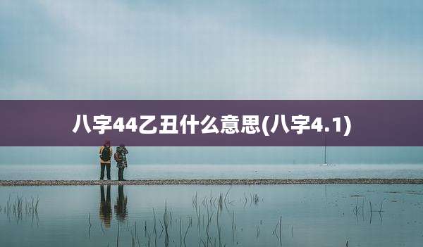 八字44乙丑什么意思(八字4.1)