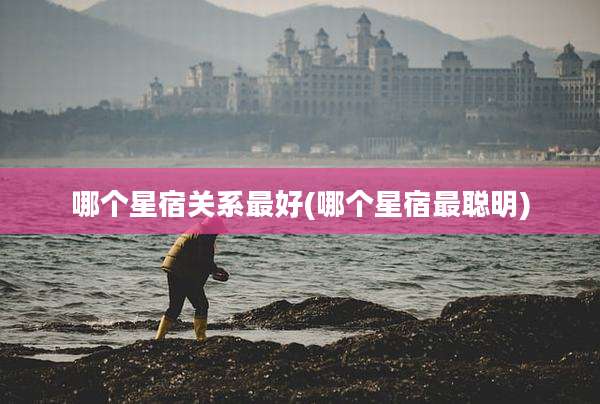 哪个星宿关系最好(哪个星宿最聪明)