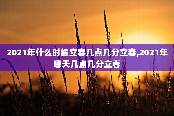 2021年什么时候立春几点几分立春,2021年哪天几点几分立春
