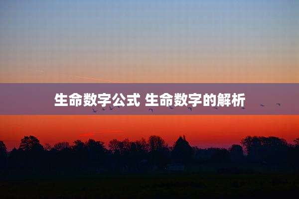 生命数字公式 生命数字的解析