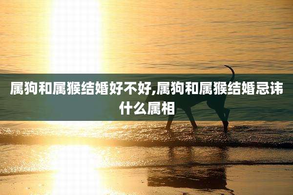 属狗和属猴结婚好不好,属狗和属猴结婚忌讳什么属相