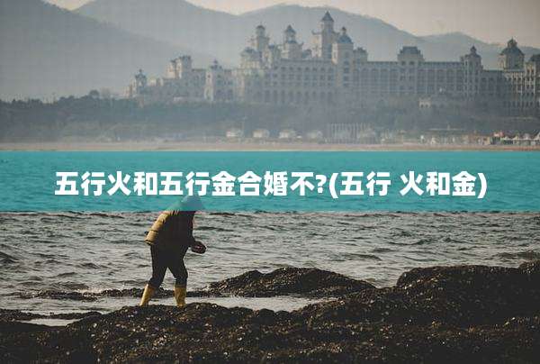 五行火和五行金合婚不?(五行 火和金)