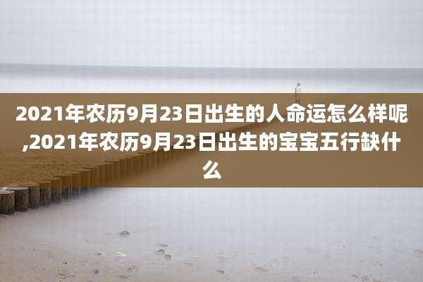 2021年农历9月23日出生的人命运怎么样呢,2021年农历9月23日出生的宝宝五行缺什么