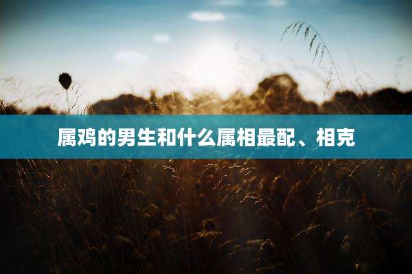 属鸡的男生和什么属相最配、相克