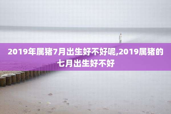 2019年属猪7月出生好不好呢,2019属猪的七月出生好不好