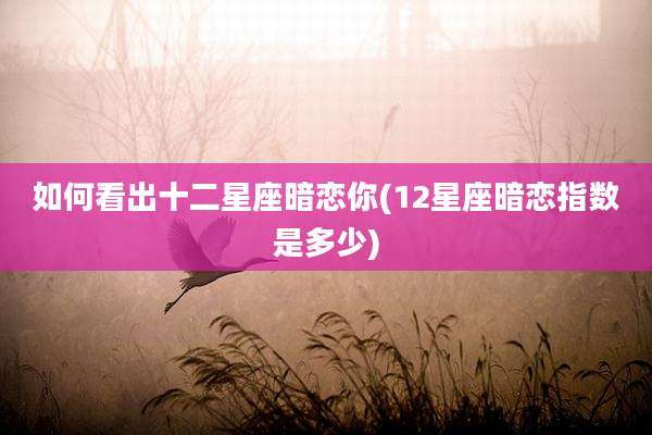 如何看出十二星座暗恋你(12星座暗恋指数是多少)