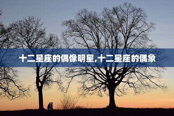 十二星座的偶像明星,十二星座的偶象