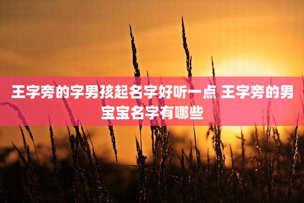 王字旁的字男孩起名字好听一点 王字旁的男宝宝名字有哪些