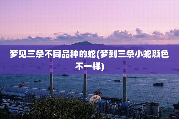 梦见三条不同品种的蛇(梦到三条小蛇颜色不一样)