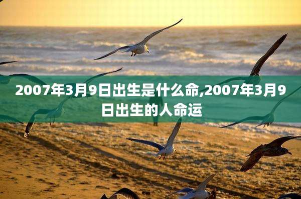 2007年3月9日出生是什么命,2007年3月9日出生的人命运
