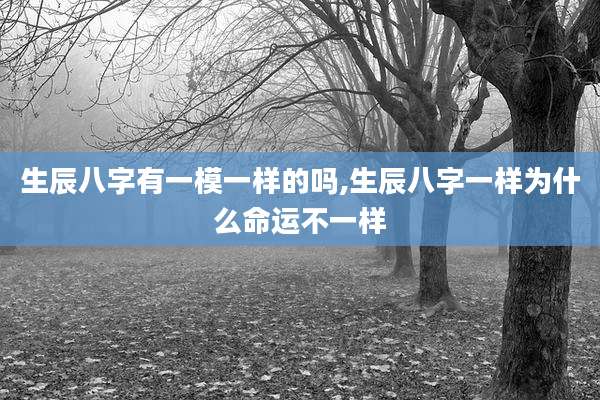 生辰八字有一模一样的吗,生辰八字一样为什么命运不一样