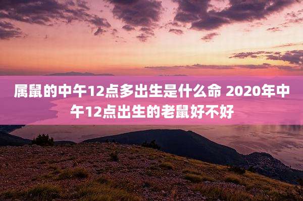 属鼠的中午12点多出生是什么命 2020年中午12点出生的老鼠好不好