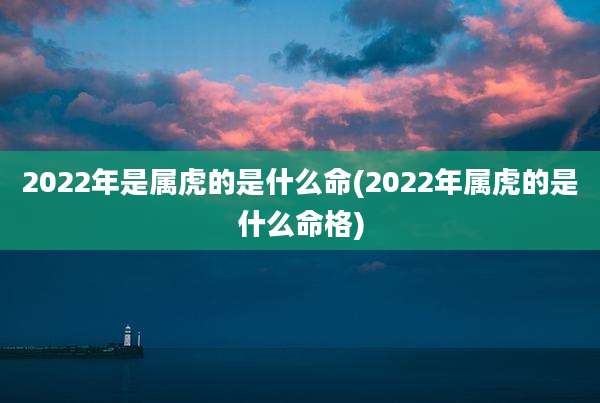 2022年是属虎的是什么命(2022年属虎的是什么命格)