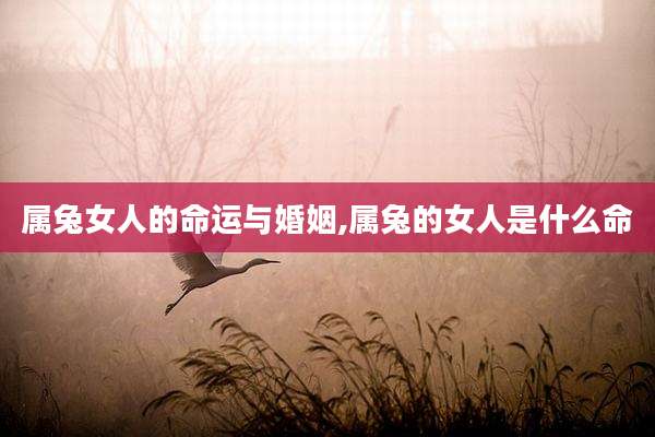 属兔女人的命运与婚姻,属兔的女人是什么命