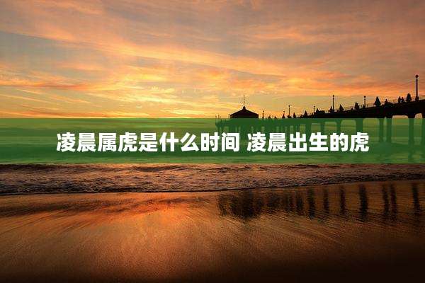 凌晨属虎是什么时间 凌晨出生的虎
