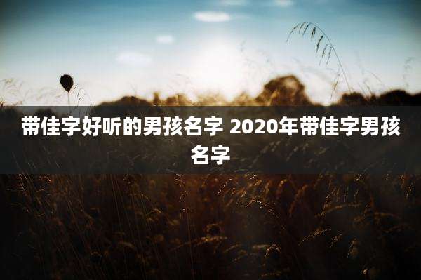 带佳字好听的男孩名字 2020年带佳字男孩名字