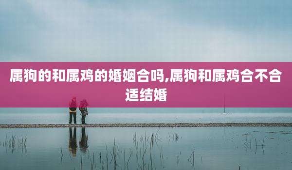 属狗的和属鸡的婚姻合吗,属狗和属鸡合不合适结婚
