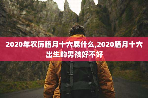 2020年农历腊月十六属什么,2020腊月十六出生的男孩好不好