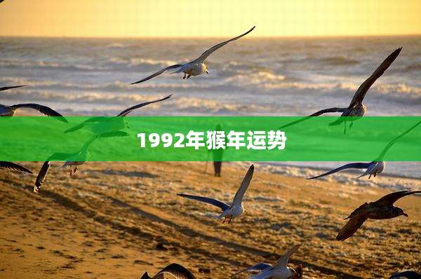 1992年猴年运势
