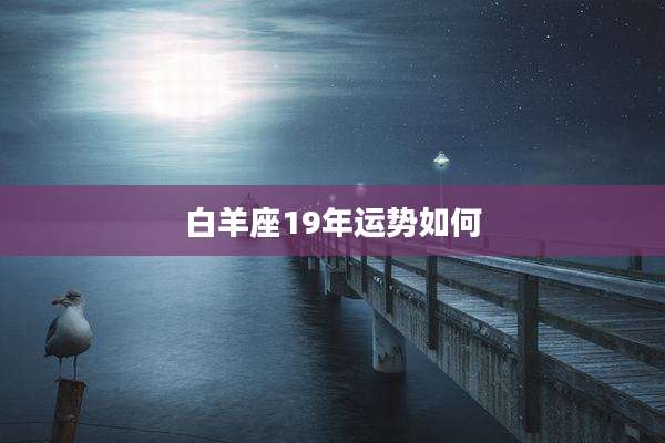 白羊座19年运势如何
