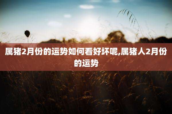 属猪2月份的运势如何看好坏呢,属猪人2月份的运势