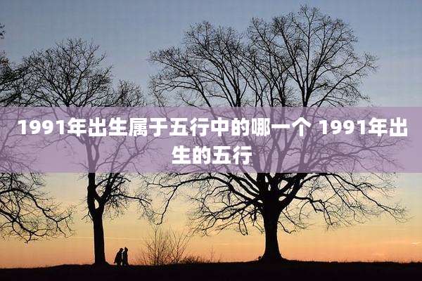 1991年出生属于五行中的哪一个 1991年出生的五行