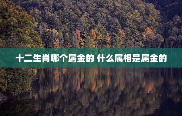 十二生肖哪个属金的 什么属相是属金的
