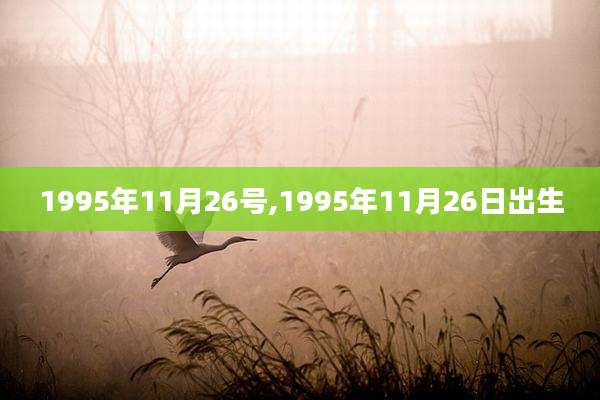 1995年11月26号,1995年11月26日出生
