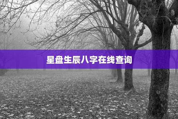 星盘生辰八字在线查询