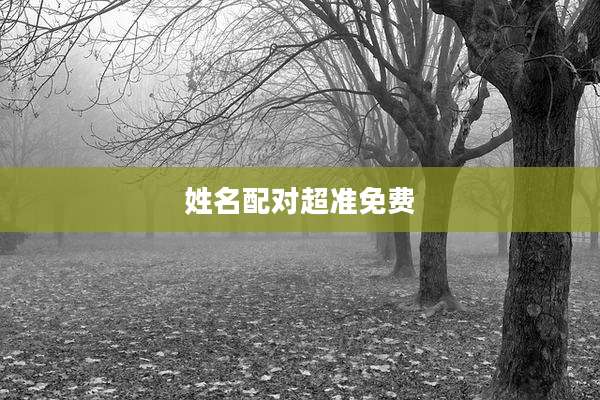 姓名配对超准免费