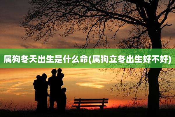 属狗冬天出生是什么命(属狗立冬出生好不好)