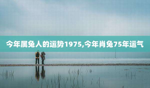 今年属兔人的运势1975,今年肖兔75年运气
